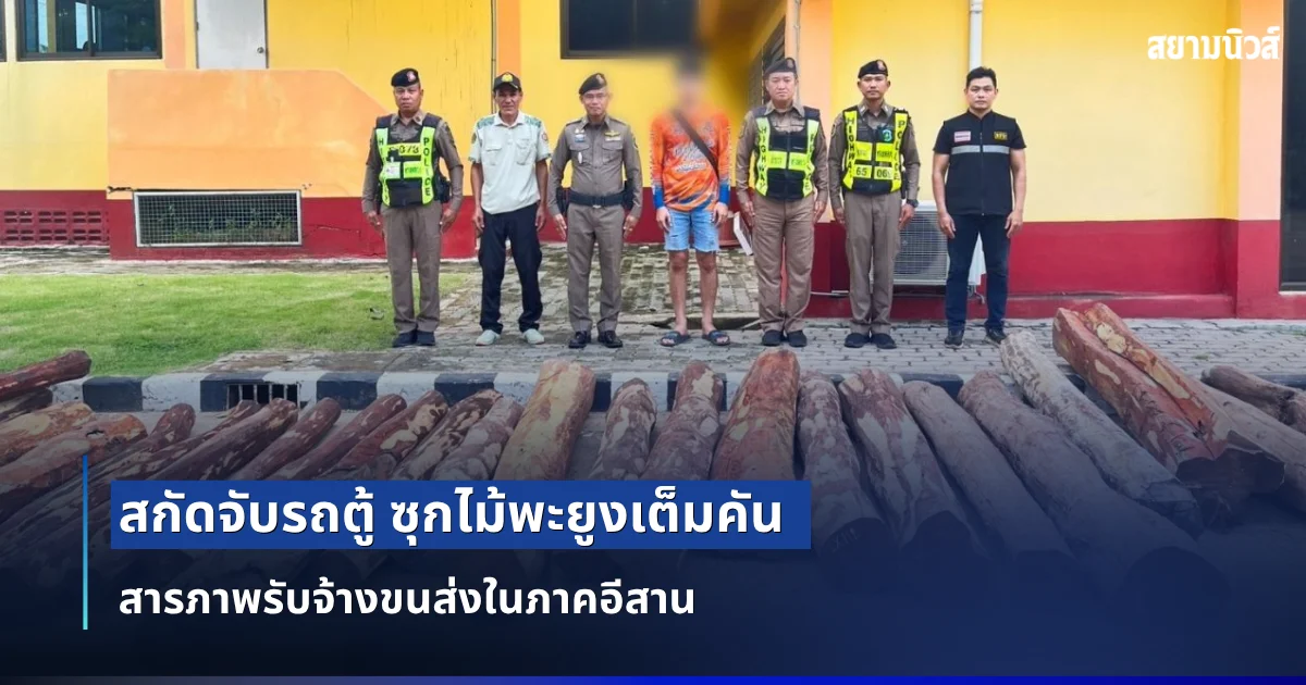 สกัดจับรถตู้ ซุกไม้พะยูงเต็มคัน สารภาพรับจ้างขนส่งในภาคอีสาน