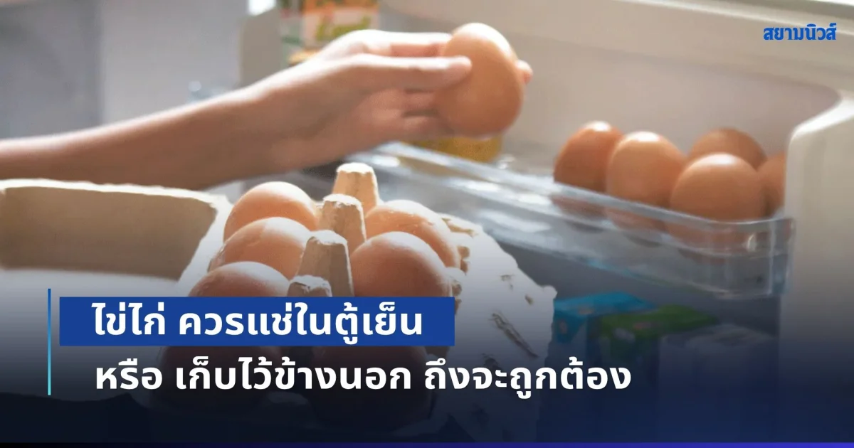 หลายคนเข้าใจผิดมาตลอด! ไข่ไก่ ควรแช่ในตู้เย็น หรือ เก็บไว้ข้างนอก ถึงจะถูกต้อง