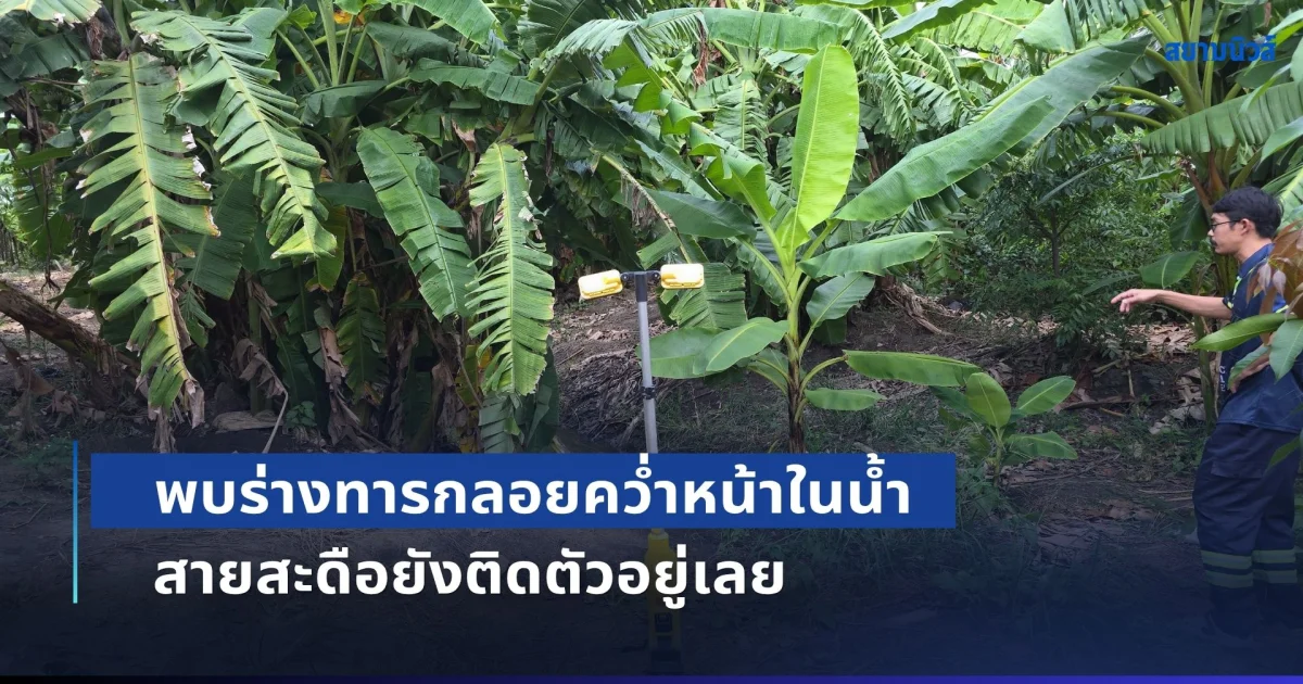 ผงะ! พบร่างทารกลอยคว่ำหน้าในน้ำ สายสะดือยังติดตัวอยู่ พ่ออ้างเมียล้มจึงแท้งแล้วนำไปฝัง คาดสุนัขคาบมาทิ้ง