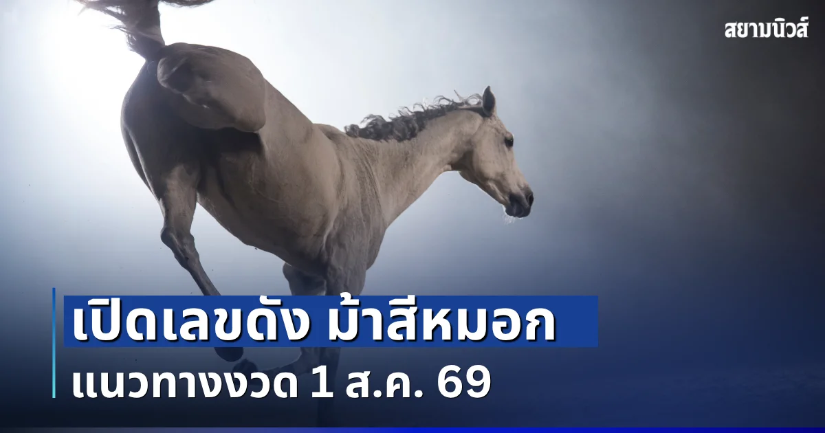 ควบมาให้โชค! เลขดัง ม้าสีหมอก แนวทางงวด 1 ส.ค. 69
