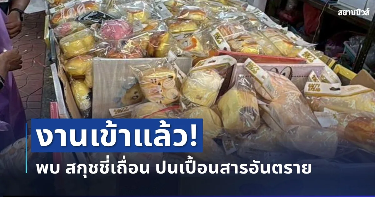 งานเข้าแล้ว! สมอ.กวาดล้าง สกุชชี่เถื่อน ล็อตใหญ่ ปนเปื้อนสารอันตราย