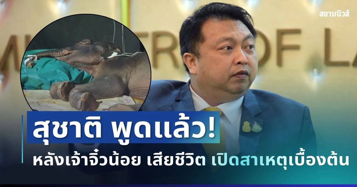 สุชาติ พูดแล้ว! หลังเจ้าจิ๋วน้อย เสียชีวิต พร้อมเปิดสาเหตุเบื้องต้น