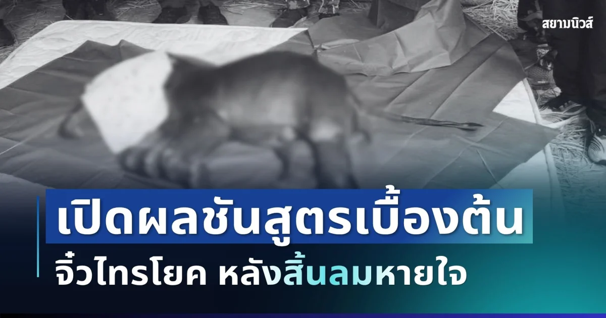 รู้แล้วยิ่งสะเทือนใจ! เปิดผลชันสูตรเบื้องต้น จิ๋วไทรโยค หลังเจ้าหน้าที่พยายามช่วยเต็มที่