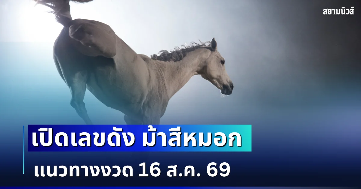 ควบมาให้โชค! เลขดัง ม้าสีหมอก แนวทางงวด 16 ส.ค. 69