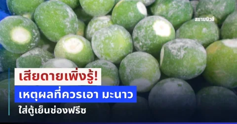 เสียดายเพิ่งรู้! เคล็ดลับบ้านๆ เหตุผลที่ควรเอา มะนาว ใส่ตู้เย็นช่องฟรีซ