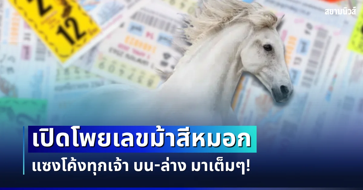 แซงโค้งทุกเจ้า! เปิดโพยเลขม้าสีหมอก งวด 16 ส.ค 69 บน-ล่าง มาเต็ม ๆ