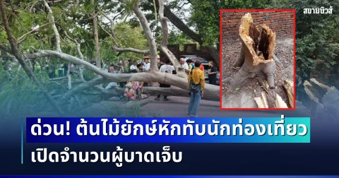 ด่วน! ต้นไม้ยักษ์หักทับนักท่องเที่ยว ในวัดดังอยุธยา เปิดจำนวนผู้บาดเจ็บ