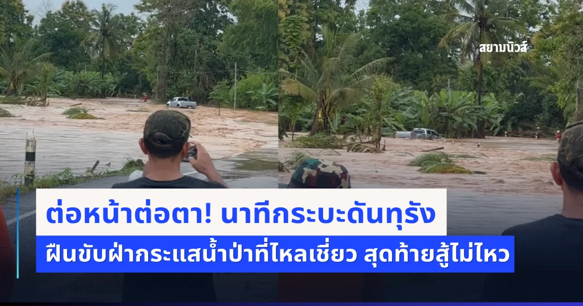 ต่อหน้าต่อตา! นาทีกระบะดันทุรัง ฝืนขับฝ่ากระแสน้ำป่าที่ไหลเชี่ยว สุดท้ายสู้ไม่ไหว