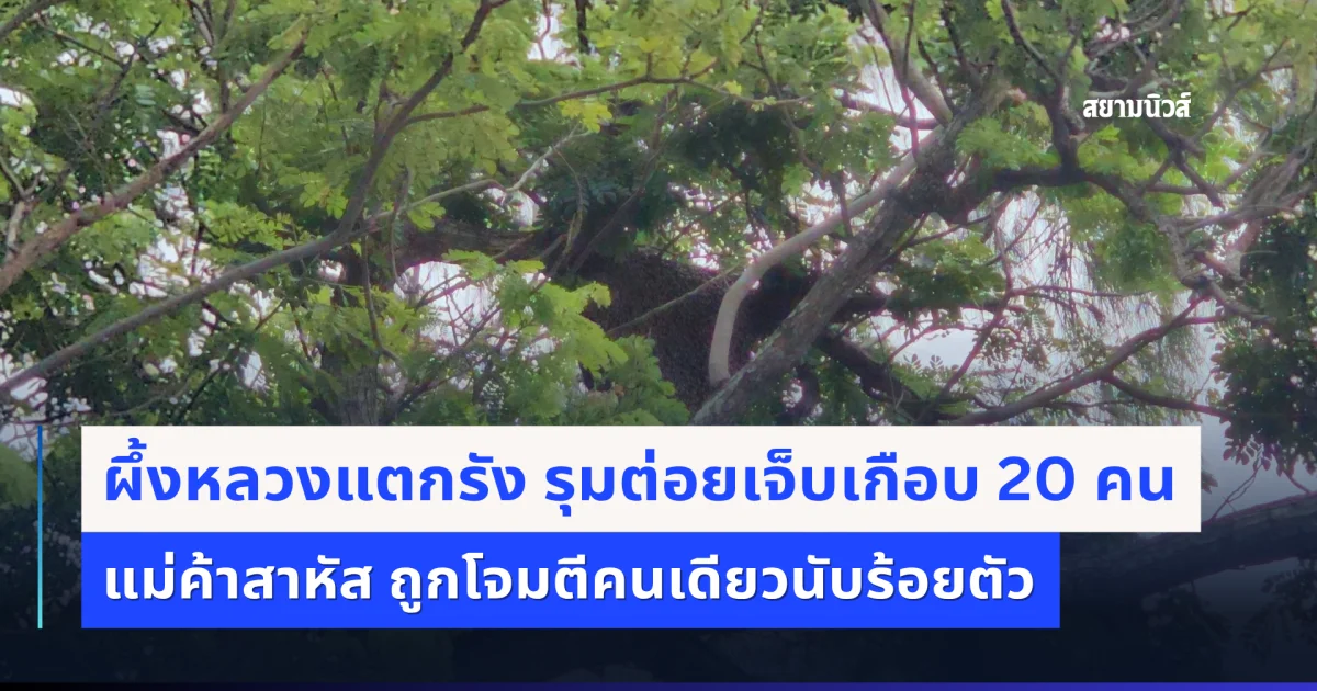 ผึ้งหลวงแตกรัง รุมต่อย ตำรวจ นักเรียน เจ็บระนาวเกือบ 20 คน แม่ค้าสาหัส ถูกโจมตีคนเดียวนับร้อยตัว