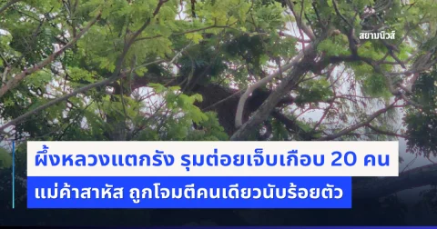 news