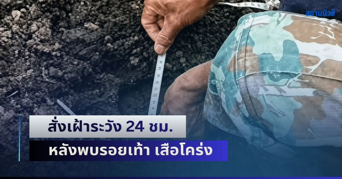 สั่งเฝ้าระวัง 24 ชม. หลังพบรอยเท้า เสือโคร่ง ออกล่าทำร้ายวัวชาวบ้าน