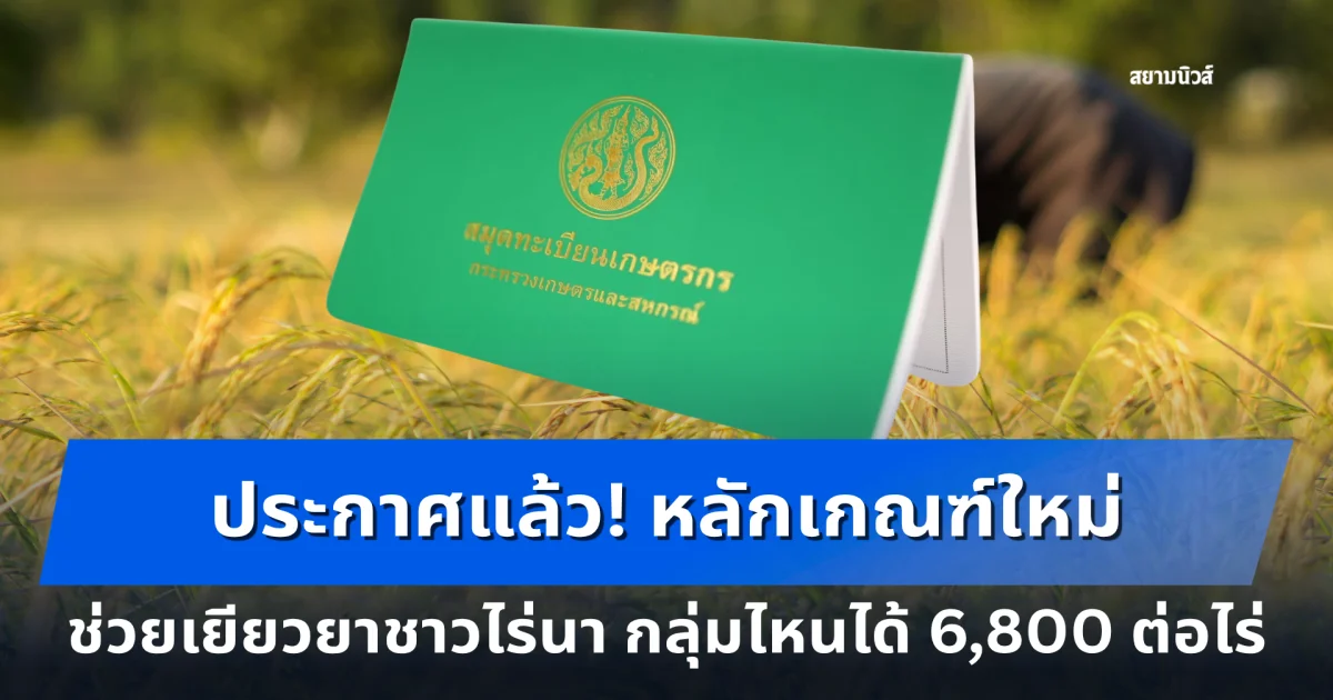 ประกาศแล้ว! หลักเกณฑ์ใหม่ช่วยเยียวยาชาวไร่นา กลุ่มไหนได้ 6,800 ต่อไร่