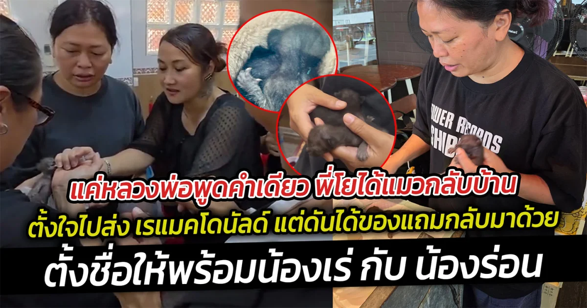 แค่หลวงพ่อพูดคำเดียว พี่โยได้แมวกลับบ้าน  จากเดิมที่ตั้งใจมาวัดเพื่อส่งเพื่อน กลายเป็นว่าได้แมวมาเลี้ยง
