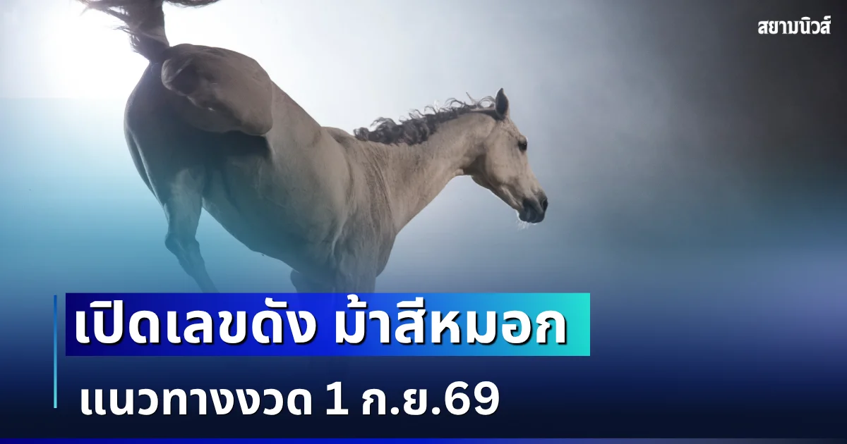 ควบมาให้โชค! เลขดัง ม้าสีหมอก แนวทางงวด 1 ก.ย. 69