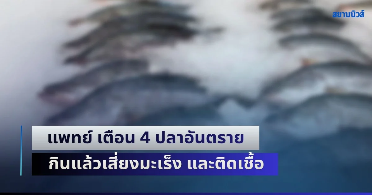 ระวังด่วน! แพทย์ เตือน 4 ปลาอันตราย กินแล้วเสี่ยงมะเร็ง และติดเชื้อ