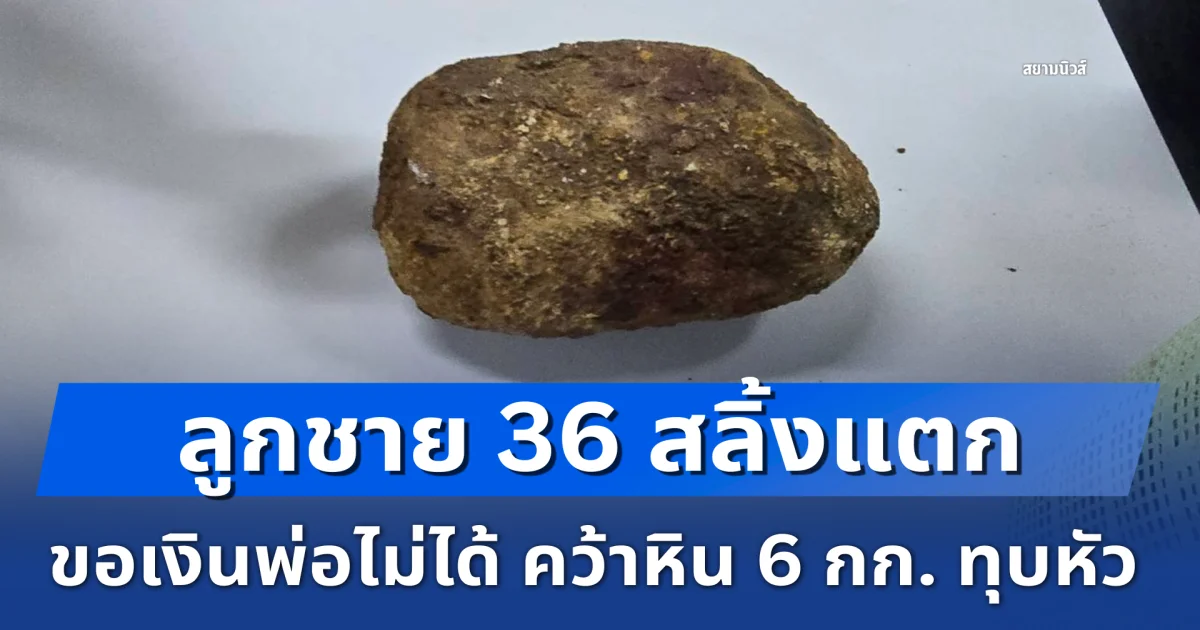 ลูกชายวัย 36 สลิ้งแตก ขอเงินพ่อ ชรบ. ไปซื้อยาบ้าไม่ได้ คว้าหิน 6 กก. ทุบหัว