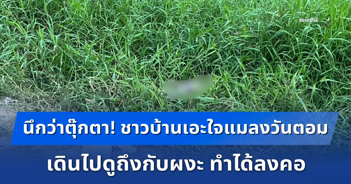 นึกว่าตุ๊กตา! ชาวบ้านเอะใจแมลงวันตอม เดินไปดูถึงกับผงะ ทำได้ลงคอ