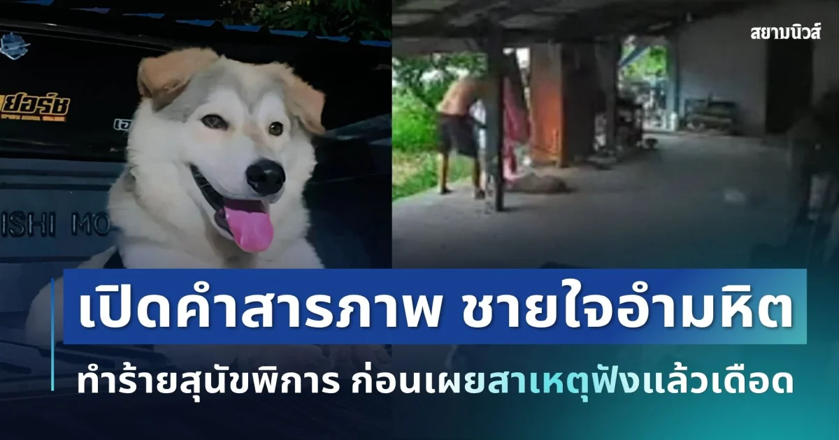 เกินรับไหว! เปิดคำสารภาพ ชายใจอำมหิต ทำร้ายสุนัขพิการ ก่อนเผยสาเหตุฟังแล้วเดือด