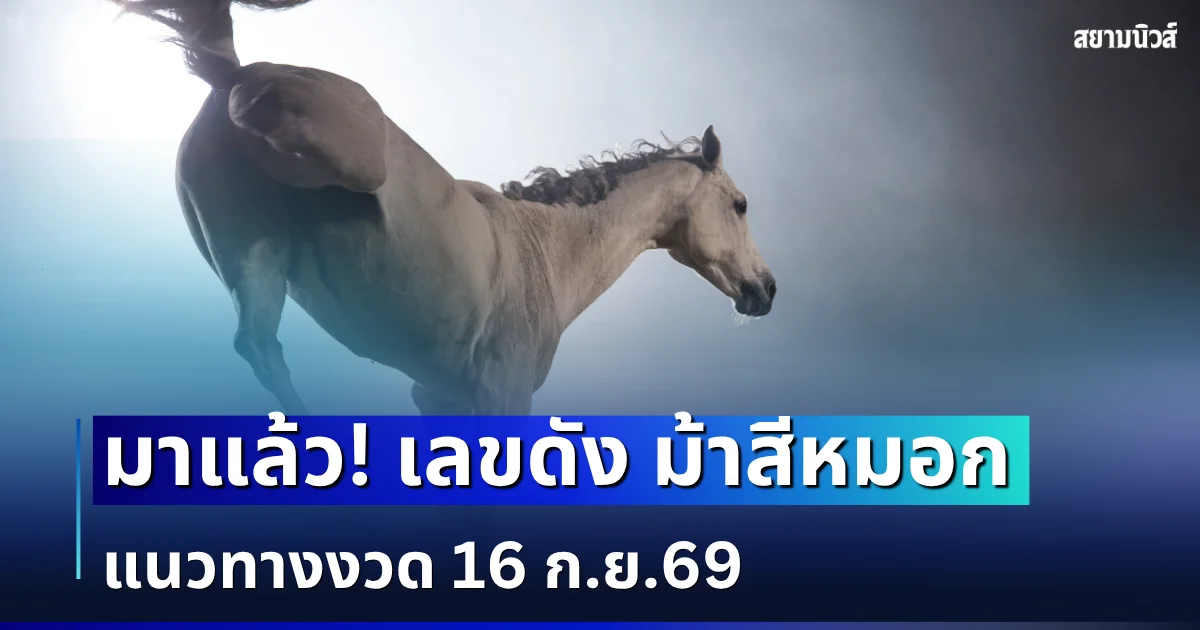 ควบมาให้โชค! เลขดัง ม้าสีหมอก แนวทางงวด 16 ก.ย. 69