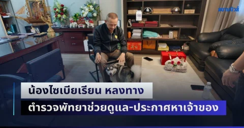 news