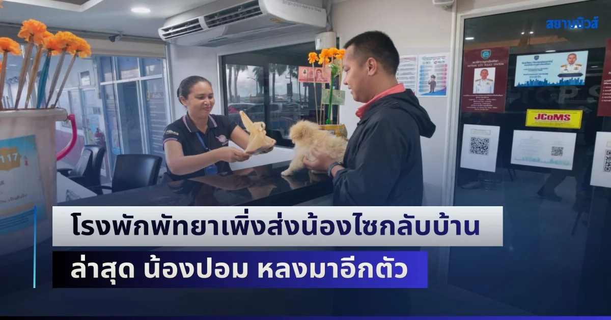 โรงพักพัทยาเพิ่งส่งน้องไซกลับบ้าน ล่าสุด น้องปอม หลงมาอีกตัว ตำรวจชุดเดิมรับหน้าที่พี่เลี้ยง