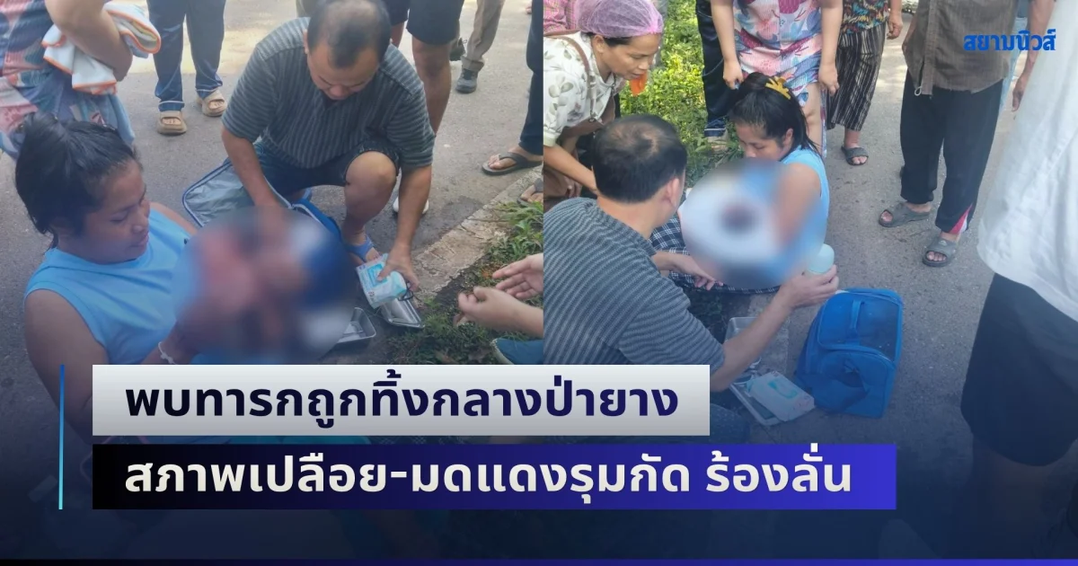 สุดสะเทือนใจ! พบทารกถูกทิ้งกลางป่ายาง สภาพเปลือย-มดแดงรุมกัด ร้องลั่น