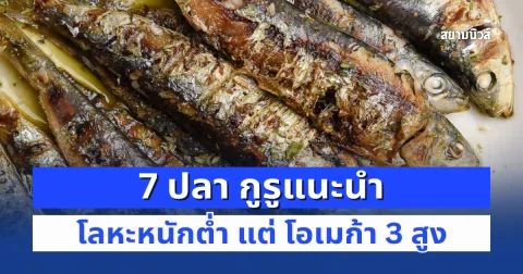 ประโยชน์ล้นๆ! 7 ปลา กูรูแนะนำ โลหะหนักต่ำ แต่ โอเมก้า 3 สูง
