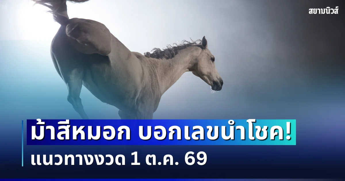 ควบมาก่อนใคร! ม้าสีหมอก บอกเลขนำโชค แนวทางงวด 1 ต.ค. 69