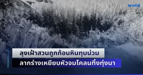 news