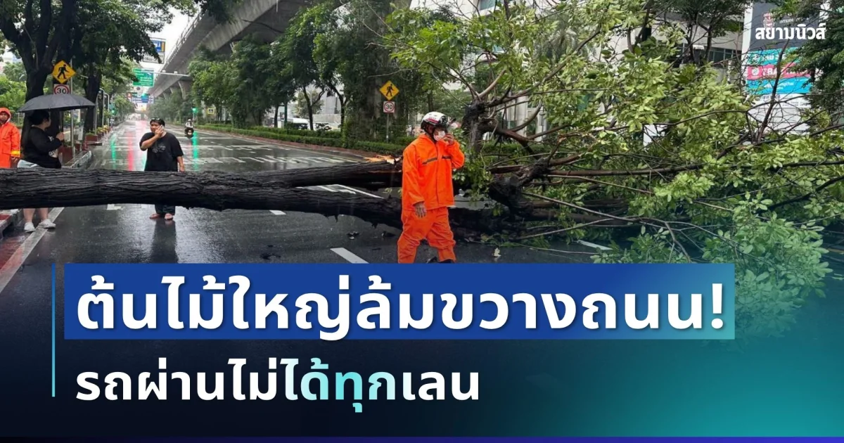 ระทึก! ต้นไม้ใหญ่ล้มขวางถนนพญาไท รถผ่านไม่ได้ทุกเลน