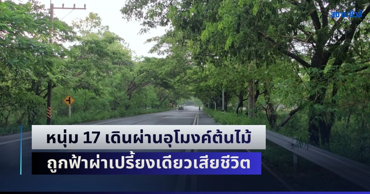 สุดสลด! หนุ่ม 17 เดินผ่านอุโมงค์ต้นไม้ ถูกฟ้าผ่าเปรี้ยงเดียวเสียชีวิต