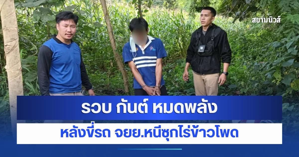 รวบ กันต์ หมดพลัง หลังขี่รถ จยย.หนีซุกไร่ข้าวโพด พร้อมหลักฐานมัดตัว!