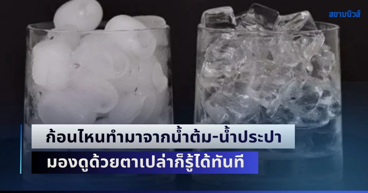 ไม่เคยรู้มาก่อน! วิธีแยก น้ำแข็ง ก้อนไหนทำมาจากน้ำต้ม-น้ำประปา มองดูด้วยตาเปล่าก็รู้ได้ทันที
