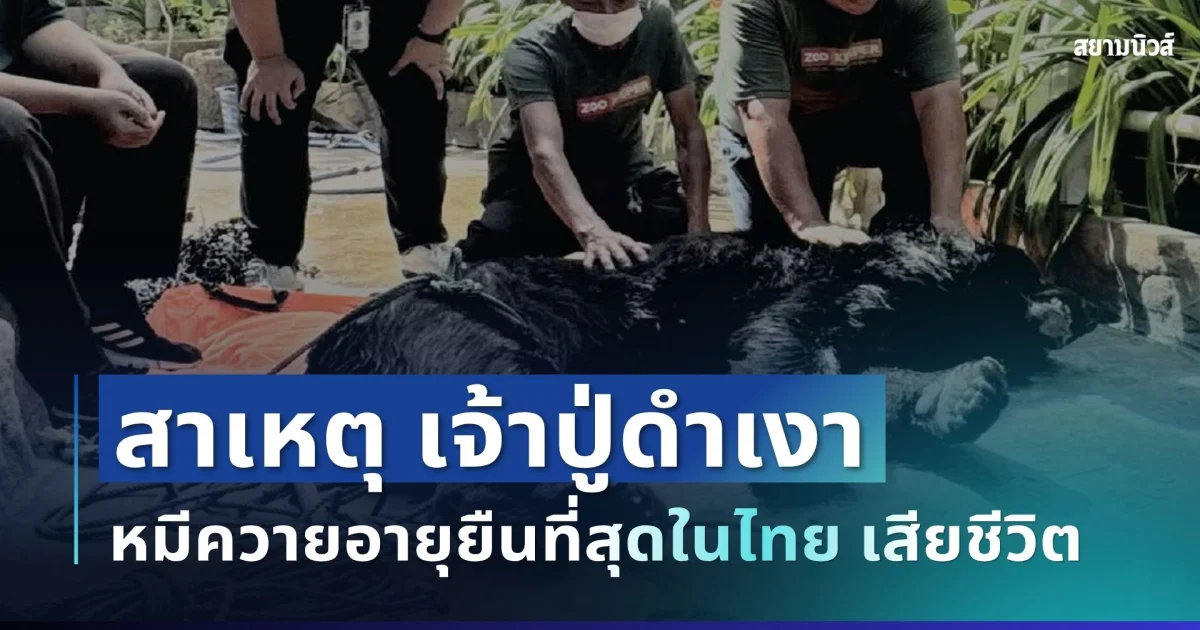 เศร้า เผยสาเหตุ เจ้าปู่ดำเงา หมีควายอายุยืนที่สุดในไทย ก่อนสิ้นใจ