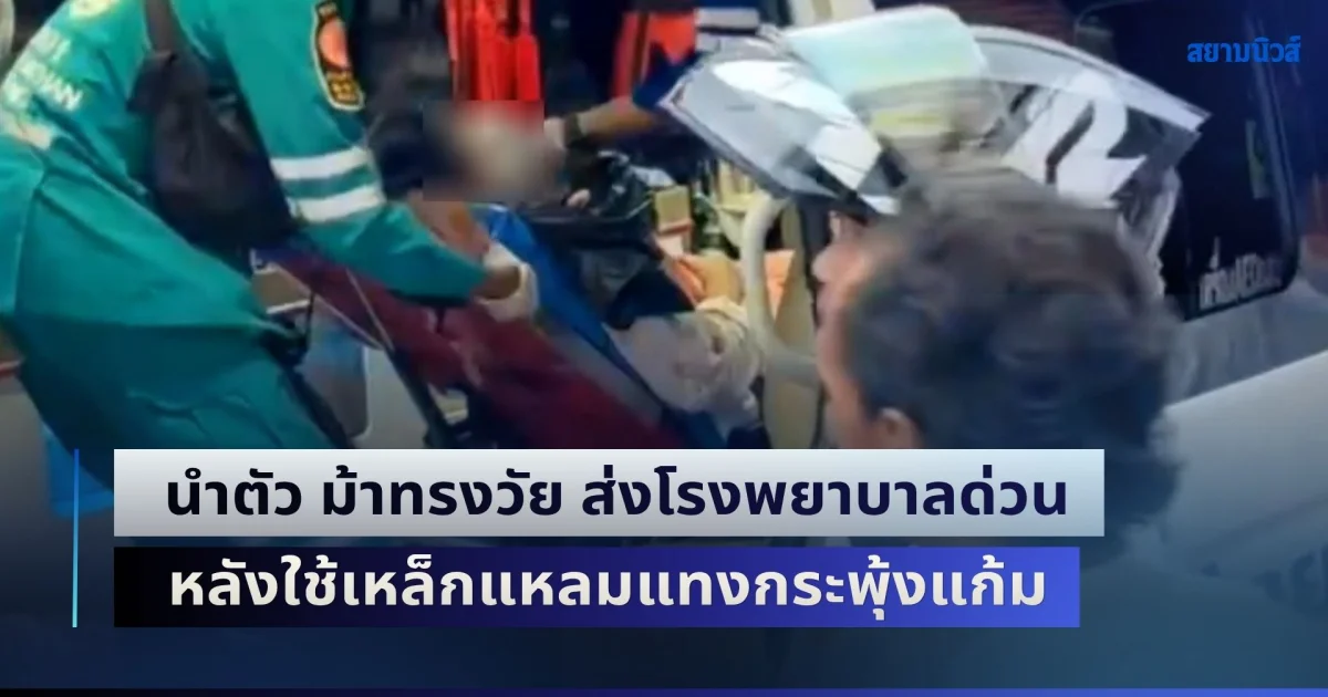 กู้ชีพฯ เร่งนำตัว ม้าทรงวัย 23 ปี ส่งโรงพยาบาลด่วน หลังใช้เหล็กแหลมแทงกระพุ้งแก้ม เลือดไหลไม่หยุด