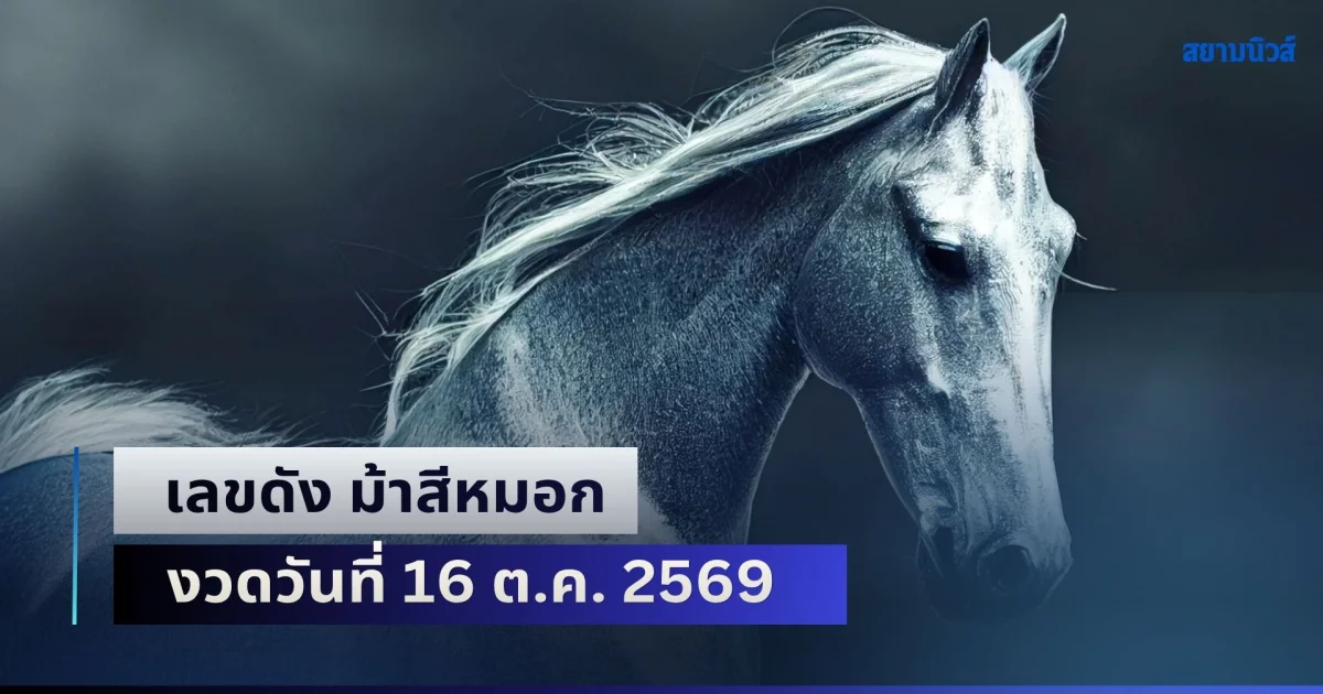 ควบมาให้โชคก่อนใคร! เลขดัง ม้าสีหมอก งวดวันที่ 16 ต.ค. 2569