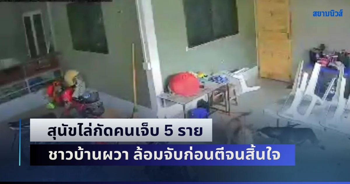 สุนัขไล่กัดคนเจ็บ 5 ราย ไล่ขย้ำหมาอีกกว่า 20 ตัว แถมกัดวัวจนเจ็บ ชาวบ้านผวา ล้อมจับก่อนตีจนสิ้นใจ ไม่วายดราม่าความเหมาะสม