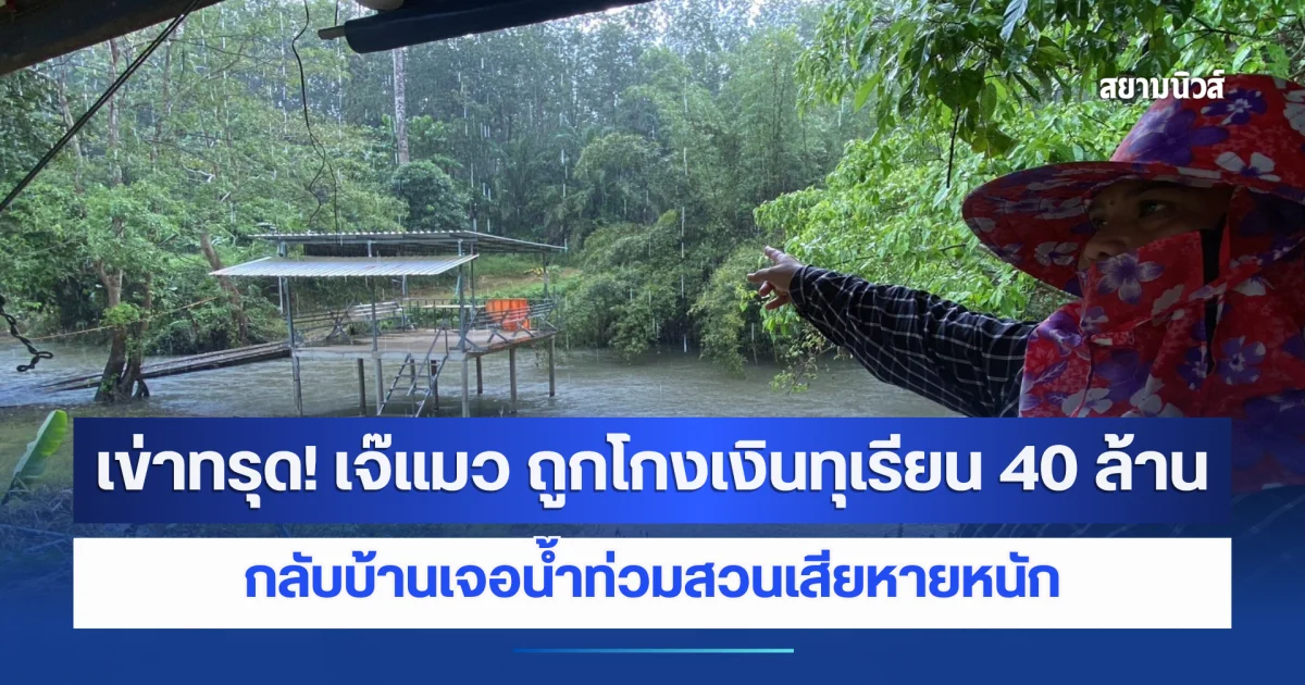 เข่าทรุด! เจ๊แมว ถูกโกงเงินทุเรียน 40 ล้าน กลับบ้านเจอน้ำท่วมสวนเสียหายหนัก