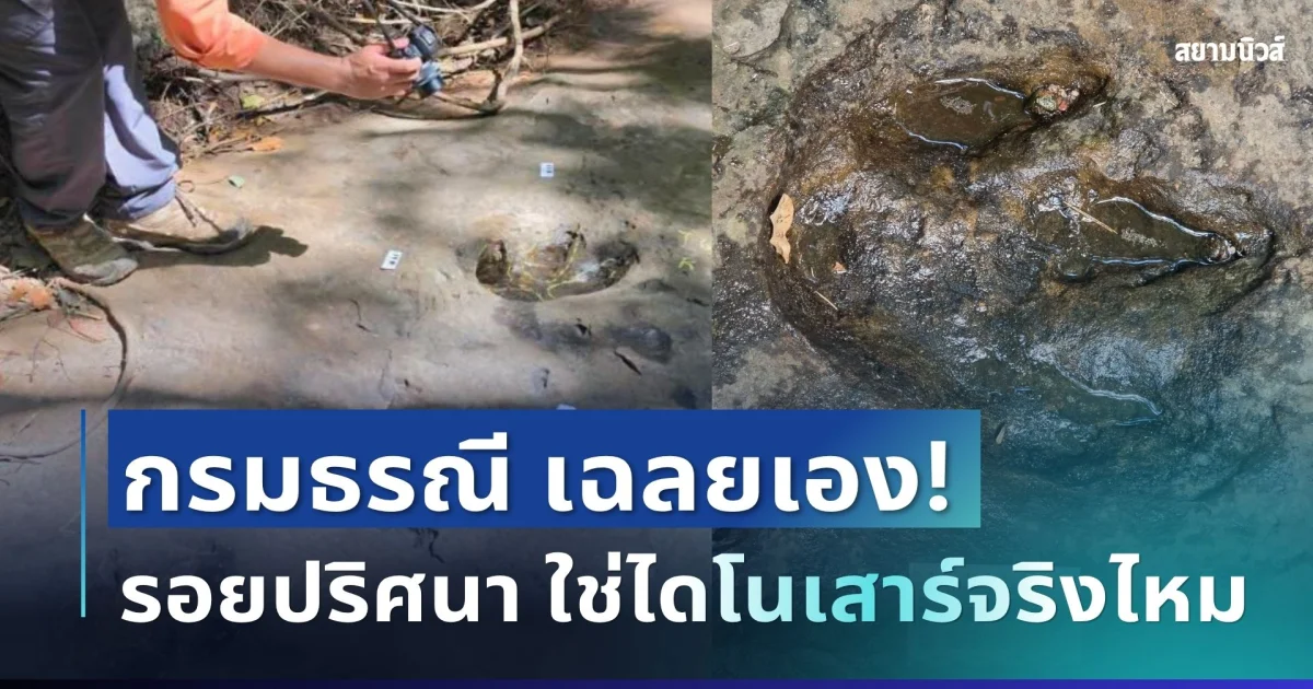 กระจ่างแล้ว! กรมธรณี เฉลยเอง รอยปริศนากลางป่าอุดรฯ ใช่ไดโนเสาร์จริงไหม