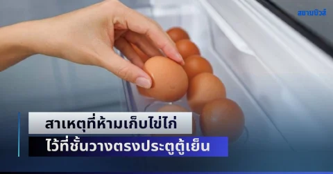 หลายคนไม่รู้! สาเหตุที่ห้ามเก็บไข่ไก่ ไว้ที่ชั้นวางตรงประตูตู้เย็น