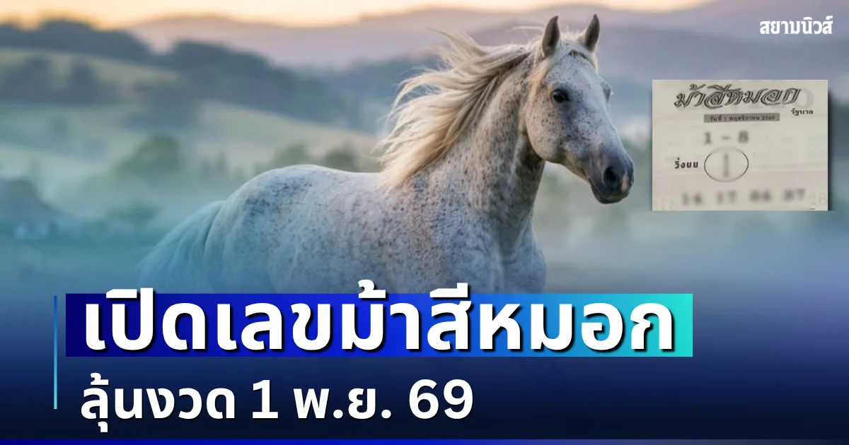 เอาโชคมาให้! เปิดเลขม้าสีหมอก ลุ้นงวด 1 พ.ย. 69