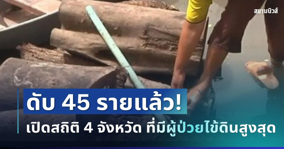 ดับ 45 รายแล้ว! เปิดสถิติ 4 จังหวัด ที่มีผู้ป่วยไข้ดินสูงสุด