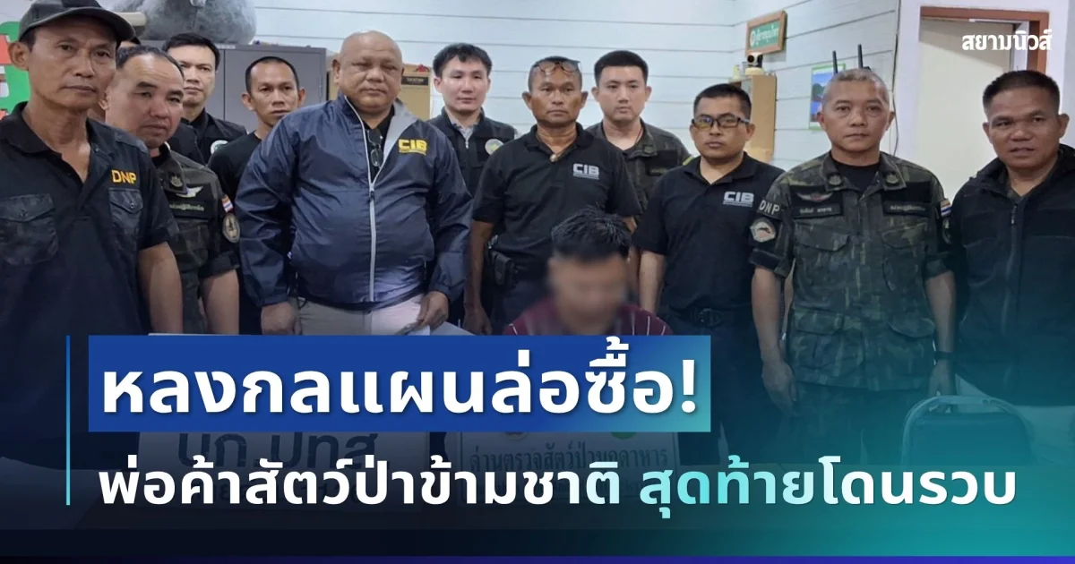 หลงกลแผนล่อซื้อ! พ่อค้าสัตว์ป่าข้ามชาติ มารับเกล็ดลิ่น สุดท้ายโดนรวบ