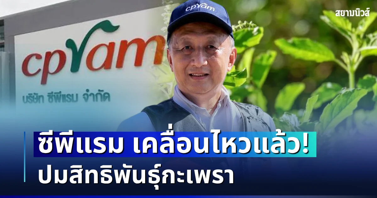 คนไทยเดือด! ซีพีแรม เคลื่อนไหวแล้ว ปมสิทธิพันธุ์กะเพรา