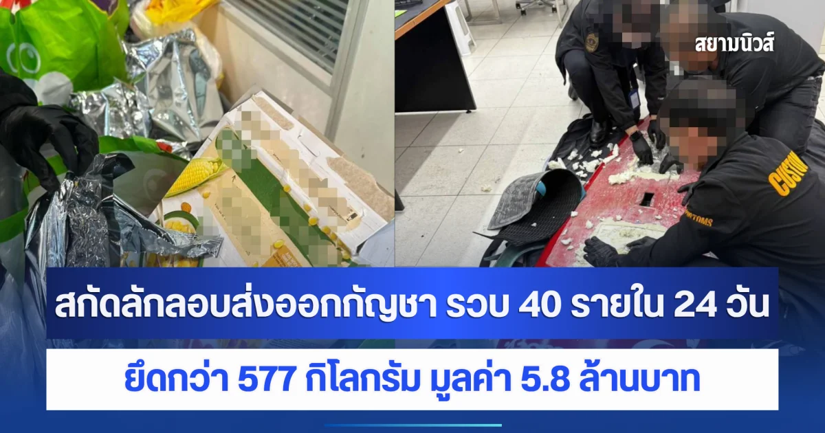 ศุลกากรสุวรรณภูมิเข้มสกัดลักลอบส่งออกกัญชา รวบ 40 รายใน 24 วัน ยึดกว่า 577 กิโลกรัม มูลค่า 5.8 ล้านบาท