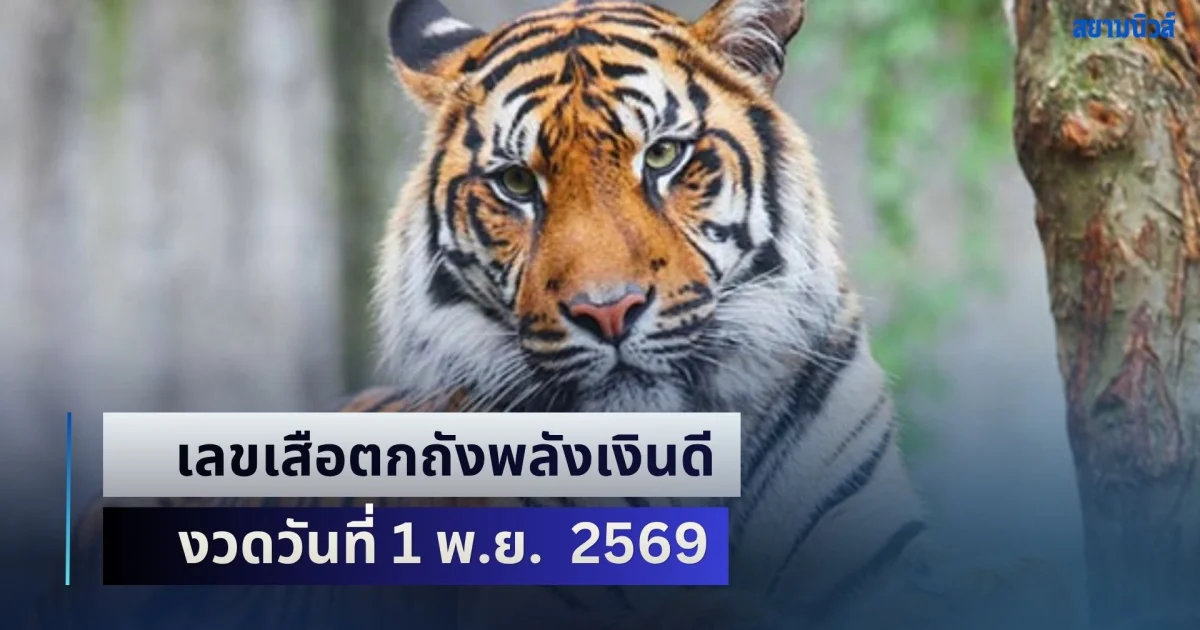 มาแล้วมาไว! เลขเสือตกถังพลังเงินดี งวดวันที่ 1 พฤศจิกายน  2569