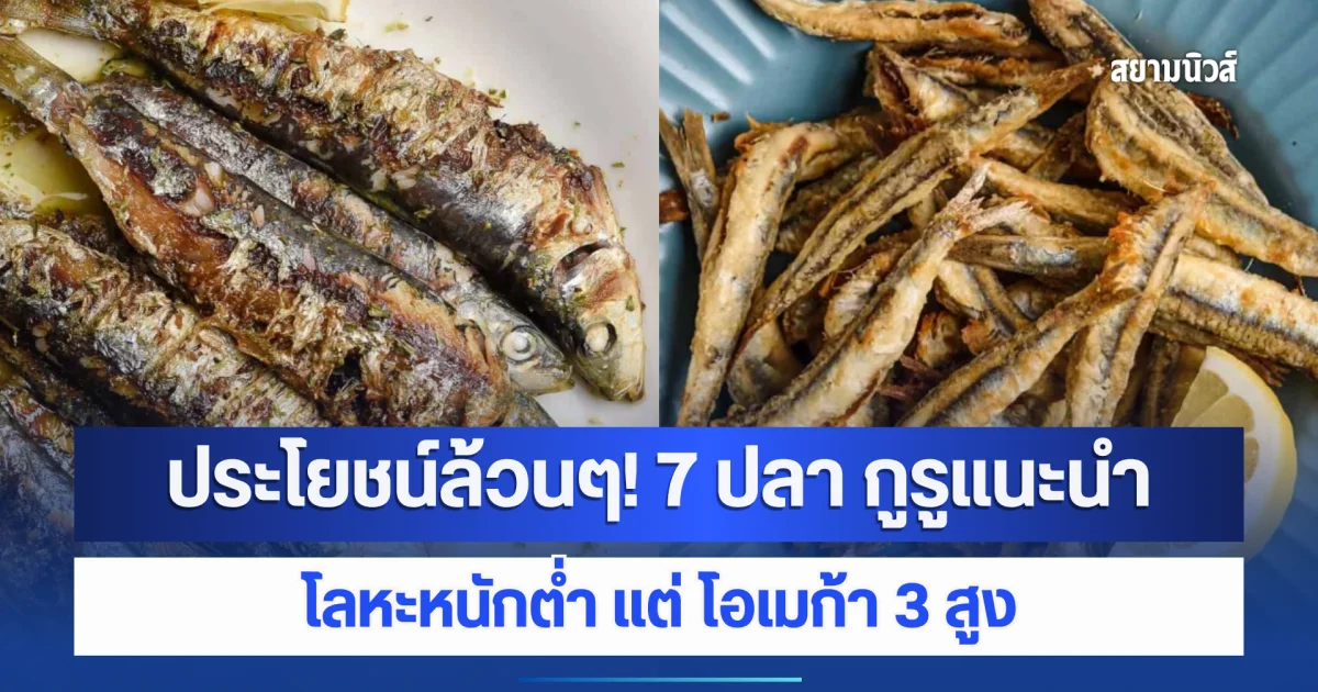 ประโยชน์ล้วนๆ! 7 ปลา กูรูแนะนำ โลหะหนักต่ำ แต่ โอเมก้า 3 สูง